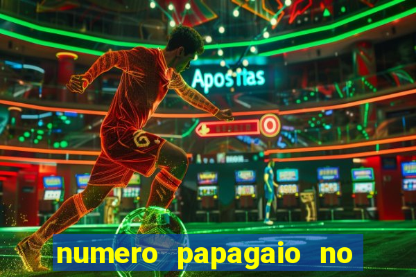 numero papagaio no jogo do bicho